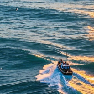 前瞻钱瞻-241. 中国品牌出海：从文化适配到文化引领|MSAI 联合出品