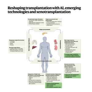 073-Reshaping transplantation with AI