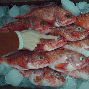 孤独，平庸，焦虑