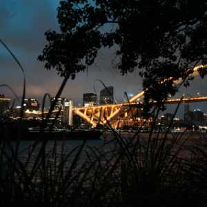 No.4 Summer丨夏日沉醉的夜晚,在一起听听歌