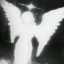 BEllaD_ZCTs