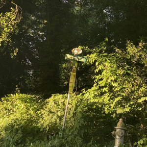 Vol. 018|闲聊——2024年末大总结:留学生活、文化冲击、优绩焦虑;鹅毛大雪、乡村暖阳、爵士乐