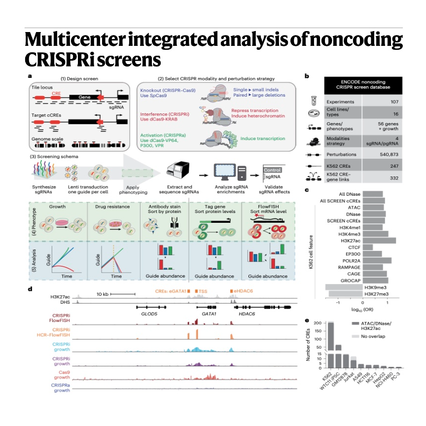 859-Integrated Analysis of Noncoding CRISPRi Screens episode artwork