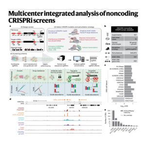 859-Integrated Analysis of Noncoding CRISPRi Screens