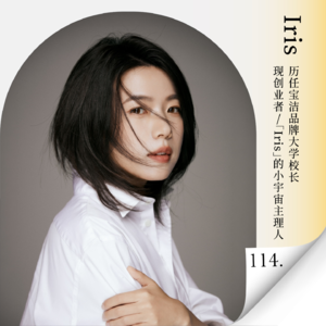 Vol.114 AI时代坚持手搓内容的抗争，和解，差异化