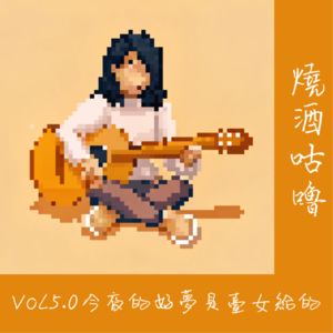 Vol 5.0今夜的好梦是台女给的