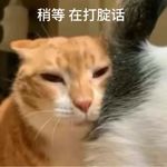 透明洋