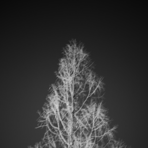 Vol.3｜从选购到折腾，关于摄影，我们到在底追求什么？