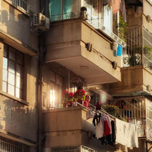 34 蝉鸣、西瓜、小奶糕…那些构成我们底气的童年记忆