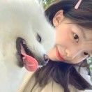 ovo安