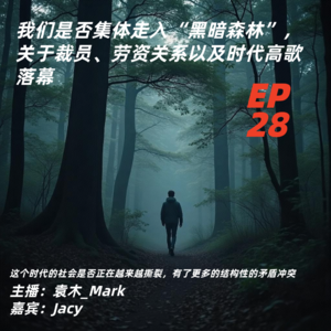 28. 我们是否集体走入“黑暗森林”，关于裁员、劳资关系以及时代高歌落幕