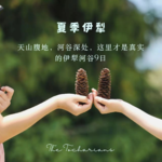 2024年，我们在夏季伊犁河谷怎么玩？