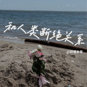 s16. 28岁无聊东亚女孩的有聊指北