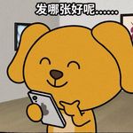 鸟_啵啵的