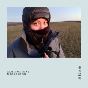 随便聊点鸟｜我想当一根海带