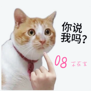 08.为什么猫闻东西时会做出奇怪的表情?《最后生还者》第二季公布正式预告|talk to me
