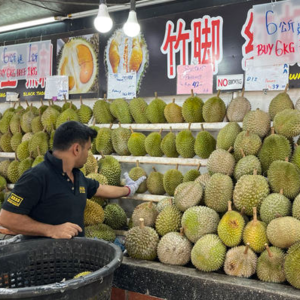 东南亚榴莲中国大战