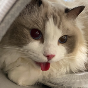 为什么恐怖片总是女鬼？男鬼去哪儿了？