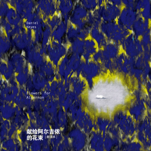 《献给阿尔吉侬的花束》中丨智商从68一跃至185，他做了什么