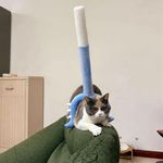 精神状态