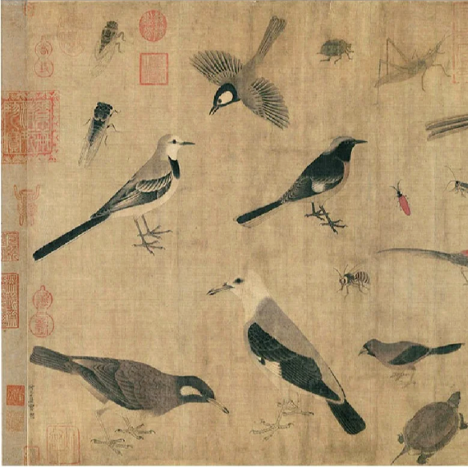 126-从《雪竹图》到“江百鸟”，中国花鸟画传统 episode artwork