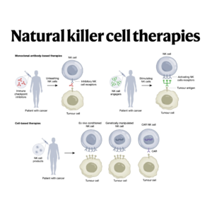 116-Natural killer cell therapies