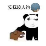 口音胎神破防乐
