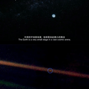 射手獠牙.🎧 EP19｜与孩子谈论死亡：一本哲学之书带给我们的治愈与勇气