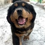 请管好你自己吧