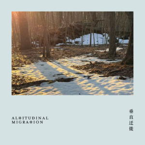 16 在春天帮助小蝾螈过马路