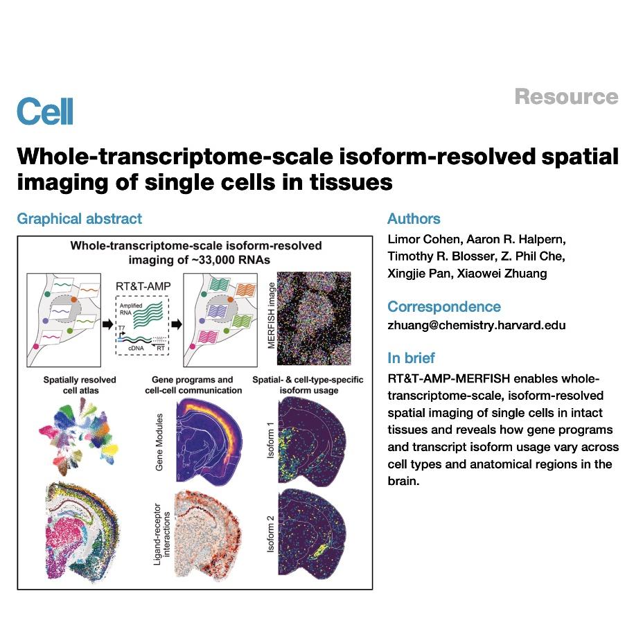 1495-Whole-Transcriptome Isoform-Resolved Spatial Imaging episode artwork