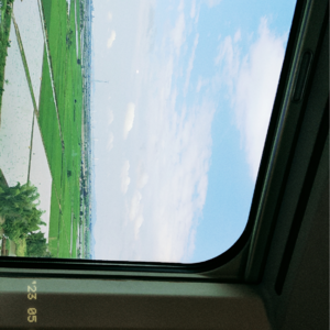 旅行的无意义009｜旅行义工如同开盲盒，遇到剥削的狮子座女老板真的很鬼烦