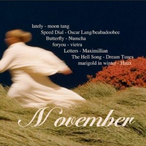 𝐏𝐥𝐚𝐲𝐥𝐢𝐬𝐭 º 十一月歌单🎵秋天 在原野 坠入梦中 🍂 从纷扰中退场｜氛围 放松 平静