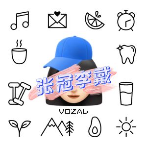 张冠李戴voZaL