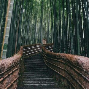 podcaster-avatar