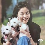 重度美式爱好者