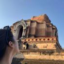 干脆就叫姚程好了