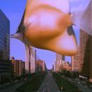 im西西