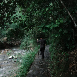 Vol.23 秋日特辑｜纵身一跃告别盛夏，那些秋日归途中的歌