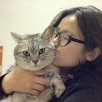 DimiJim