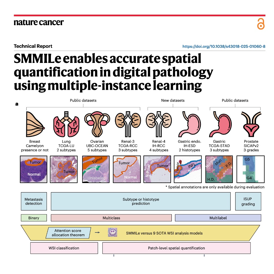 680-SMMILe：数字病理学空间定量多实例学习框架 episode artwork