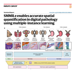 680-SMMILe: Spatial Quantification in Digital Pathology