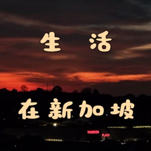 17 南洋无尽夏：“杂草女孩”的新加坡生存记