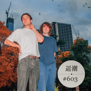 意识流写作的微醺味道 > 退潮 #603