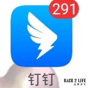 Ep042.一命通关，别搞普鲁斯特那套东西！鲶鱼的2024年终总结