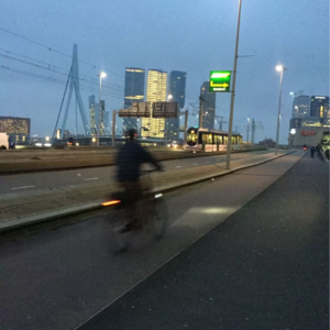 24. 荷兰工作生活全揭秘：四年后，我变平和了