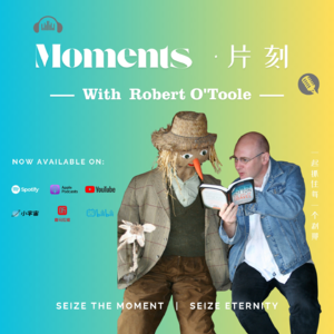 超越高等教育的学科设计｜Robert O'Tool #Episode 28