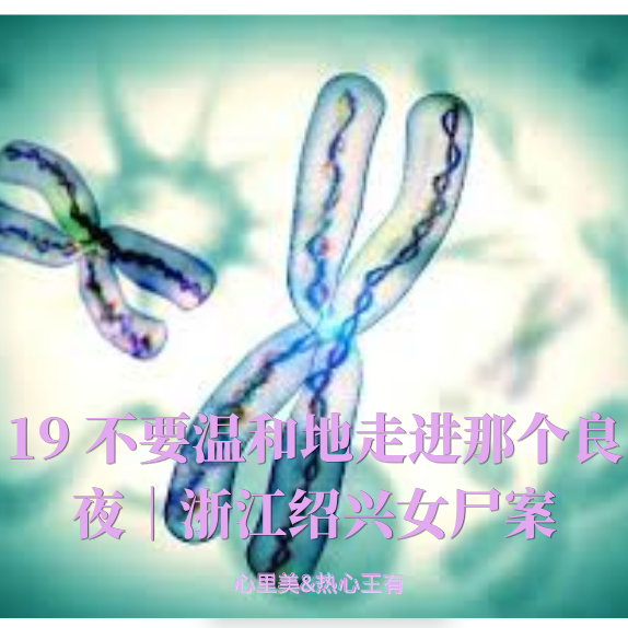 Artwork for 最后的乌鸦
