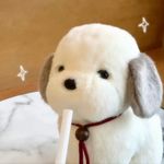 可爱的吉吉