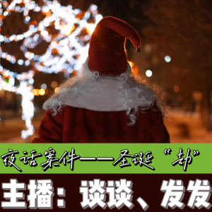 EP08.夜话案件：圣诞节，圣诞“劫”